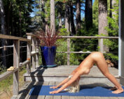 Nude yoga woman doing downward dog in the woods.